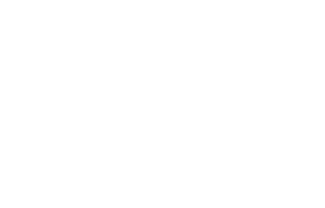 NSC white logo