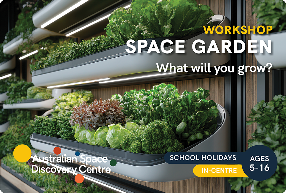 Workshop Space Garden. What will you grow?